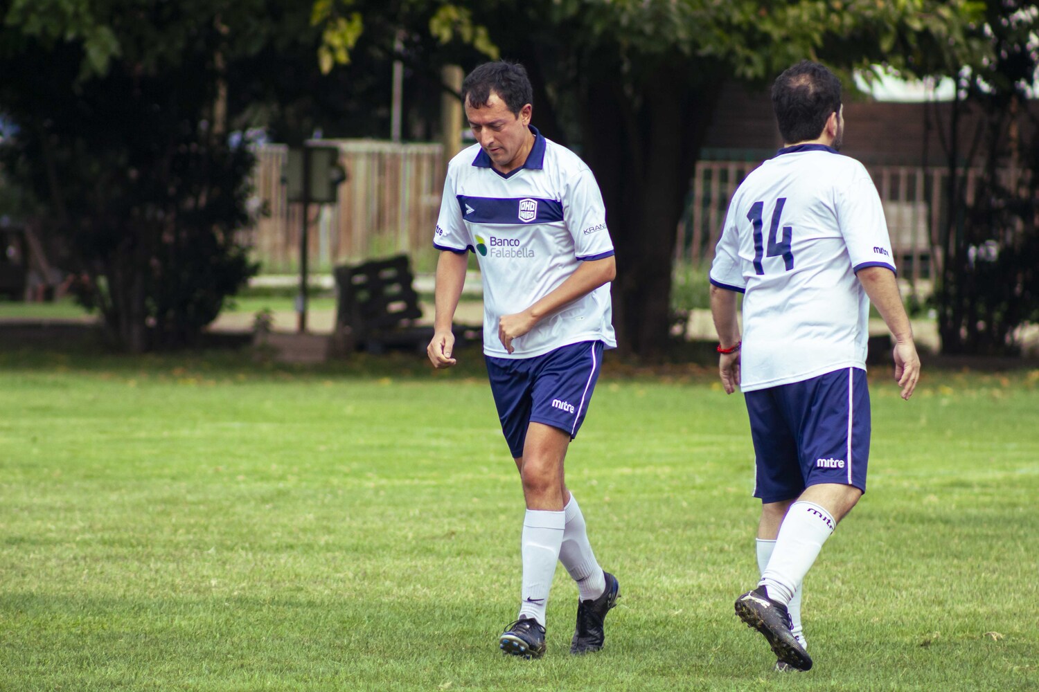 _MG_5146.jpg