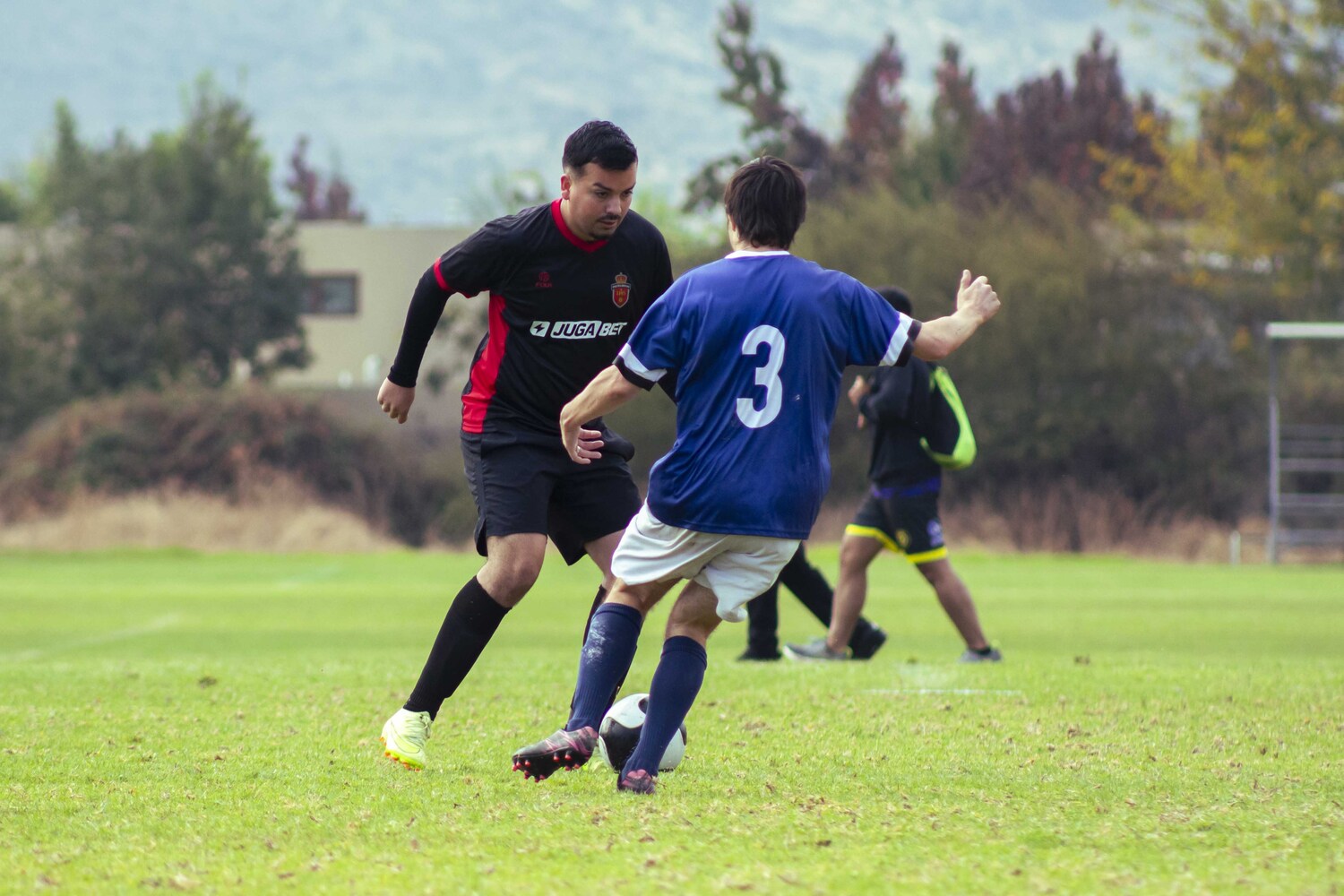_MG_5195.jpg