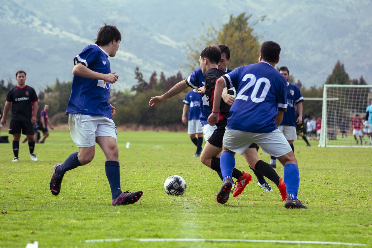 _MG_5207.jpg
