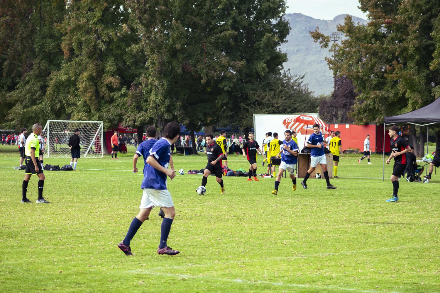 _MG_5214.jpg
