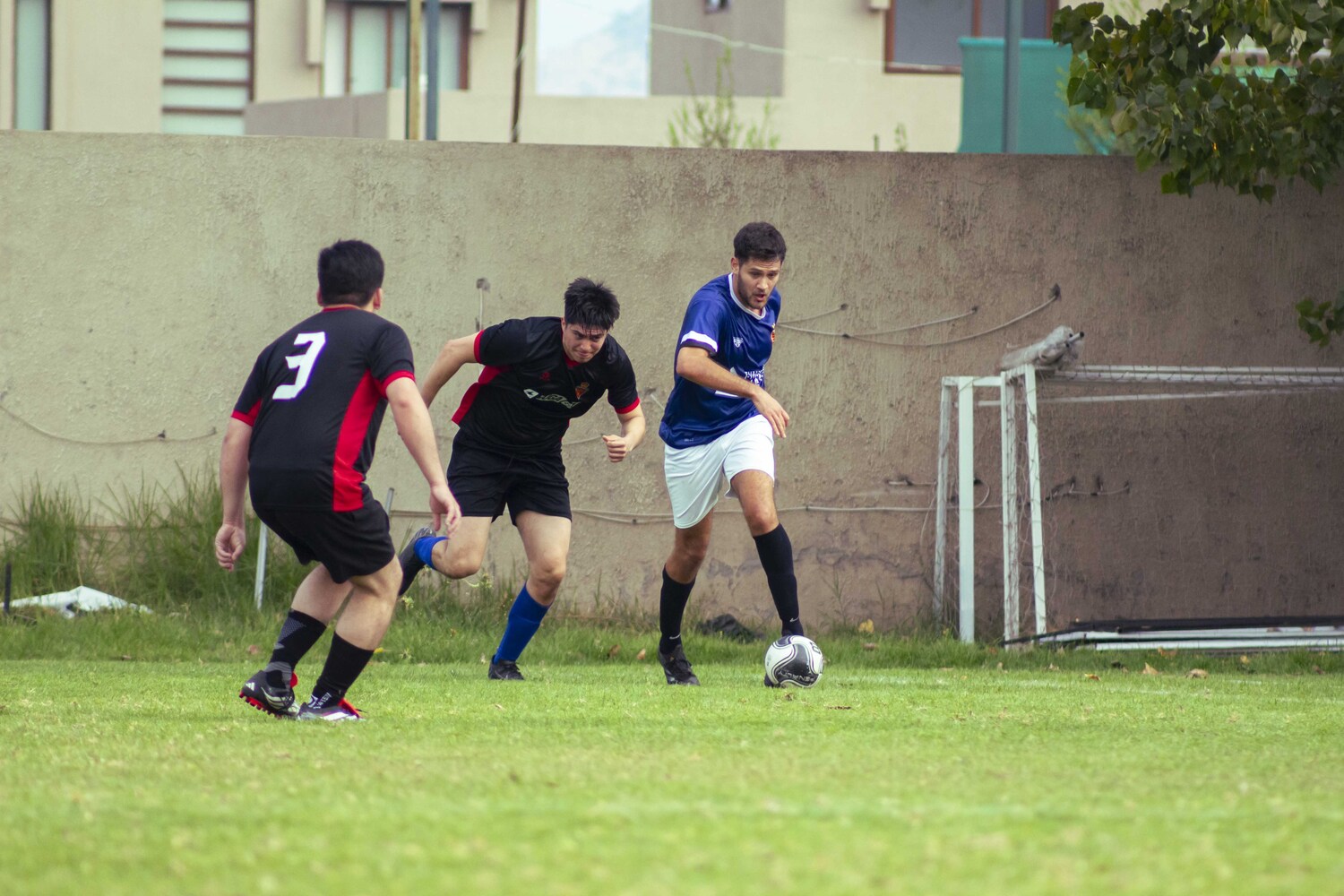 _MG_5231.jpg