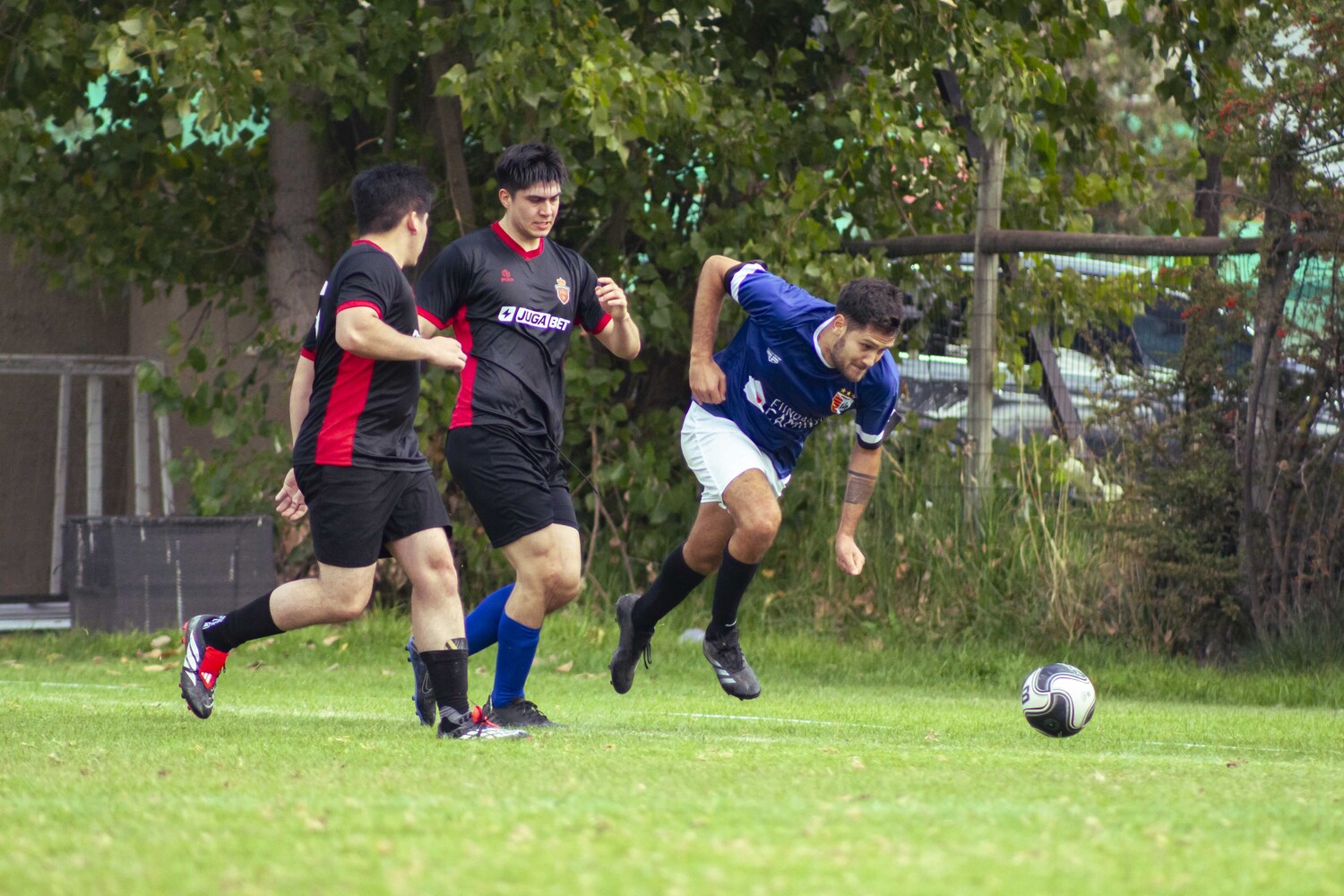 _MG_5233.jpg