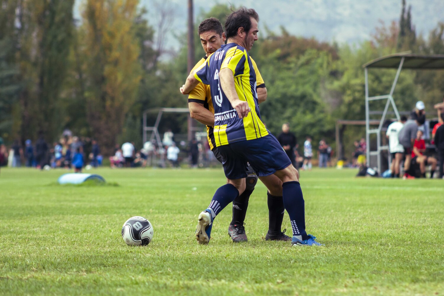 _MG_5256.jpg