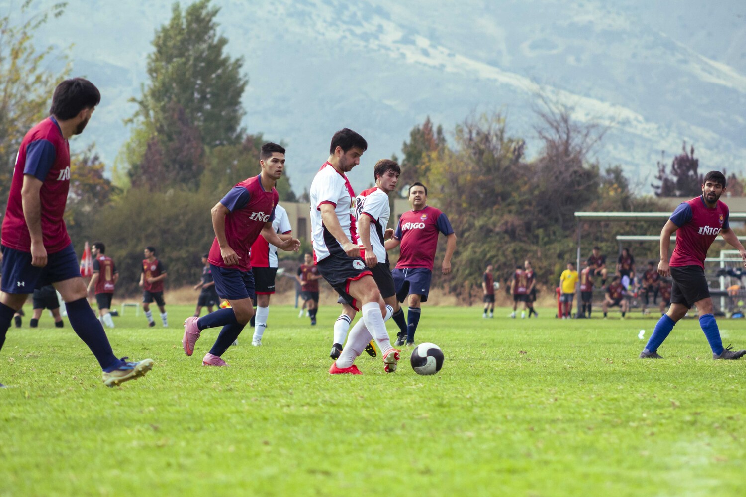 _MG_5288.jpg