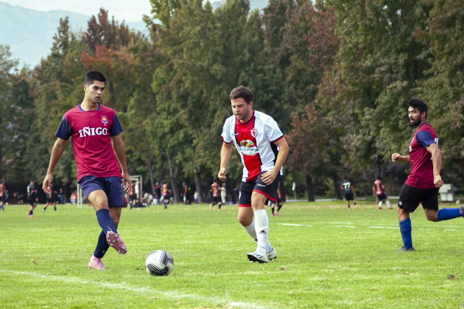 _MG_5306.jpg