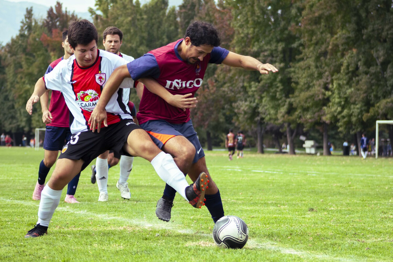 _MG_5308.jpg