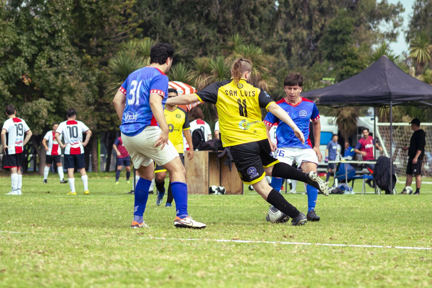 _MG_5333.jpg