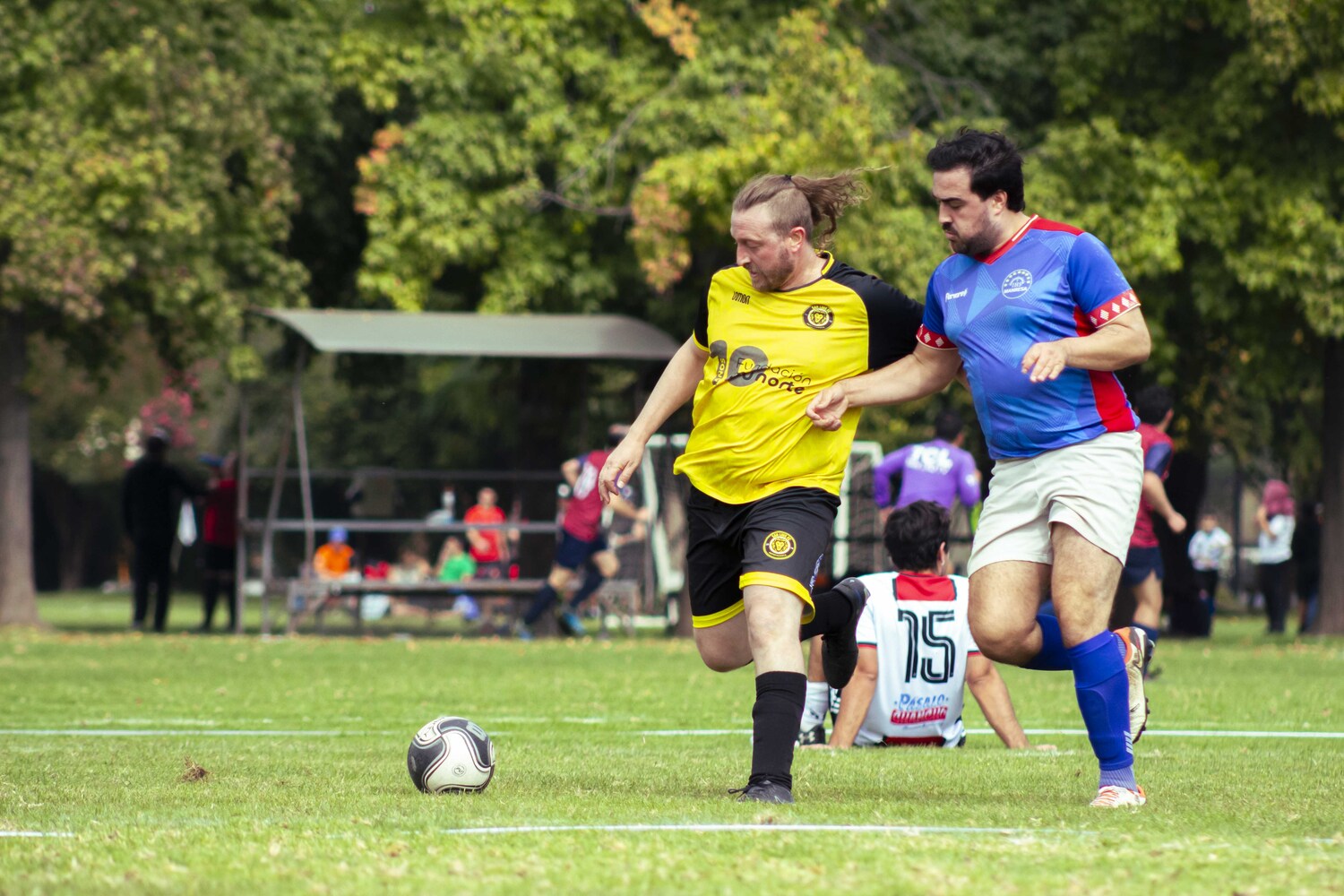 _MG_5340.jpg