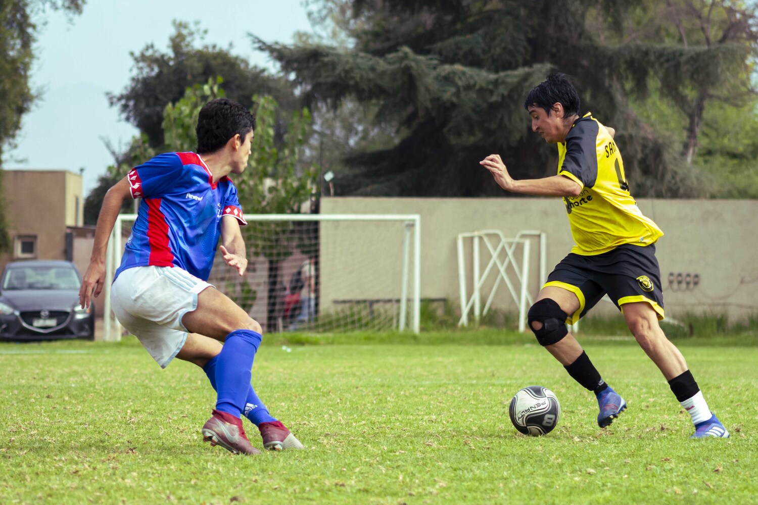 _MG_5350.jpg