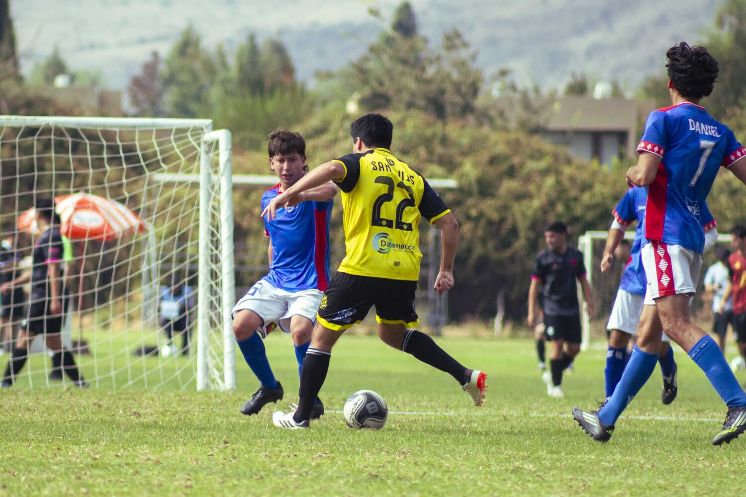 _MG_5375.jpg