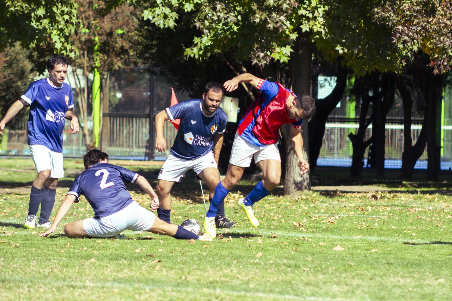f10754112.jpg