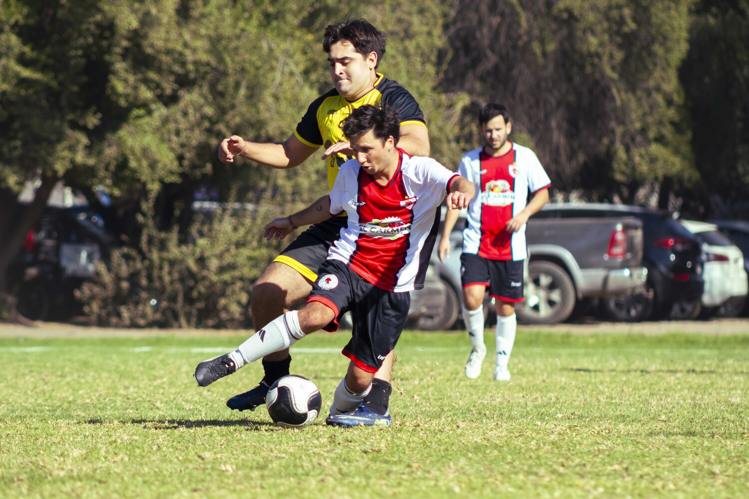 f5570624.jpg