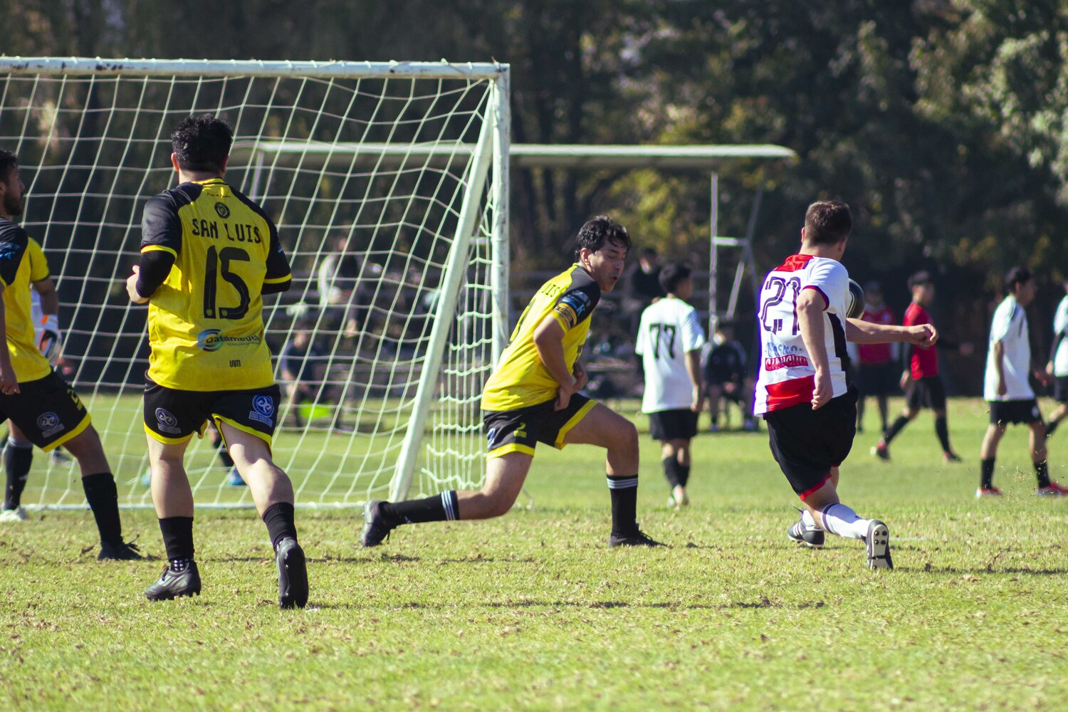 f6514688.jpg