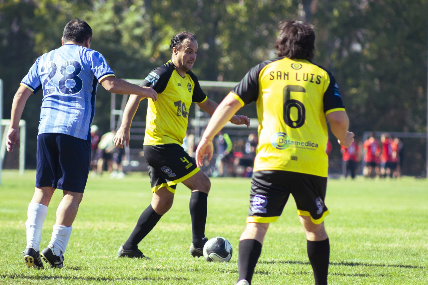 f8765312.jpg