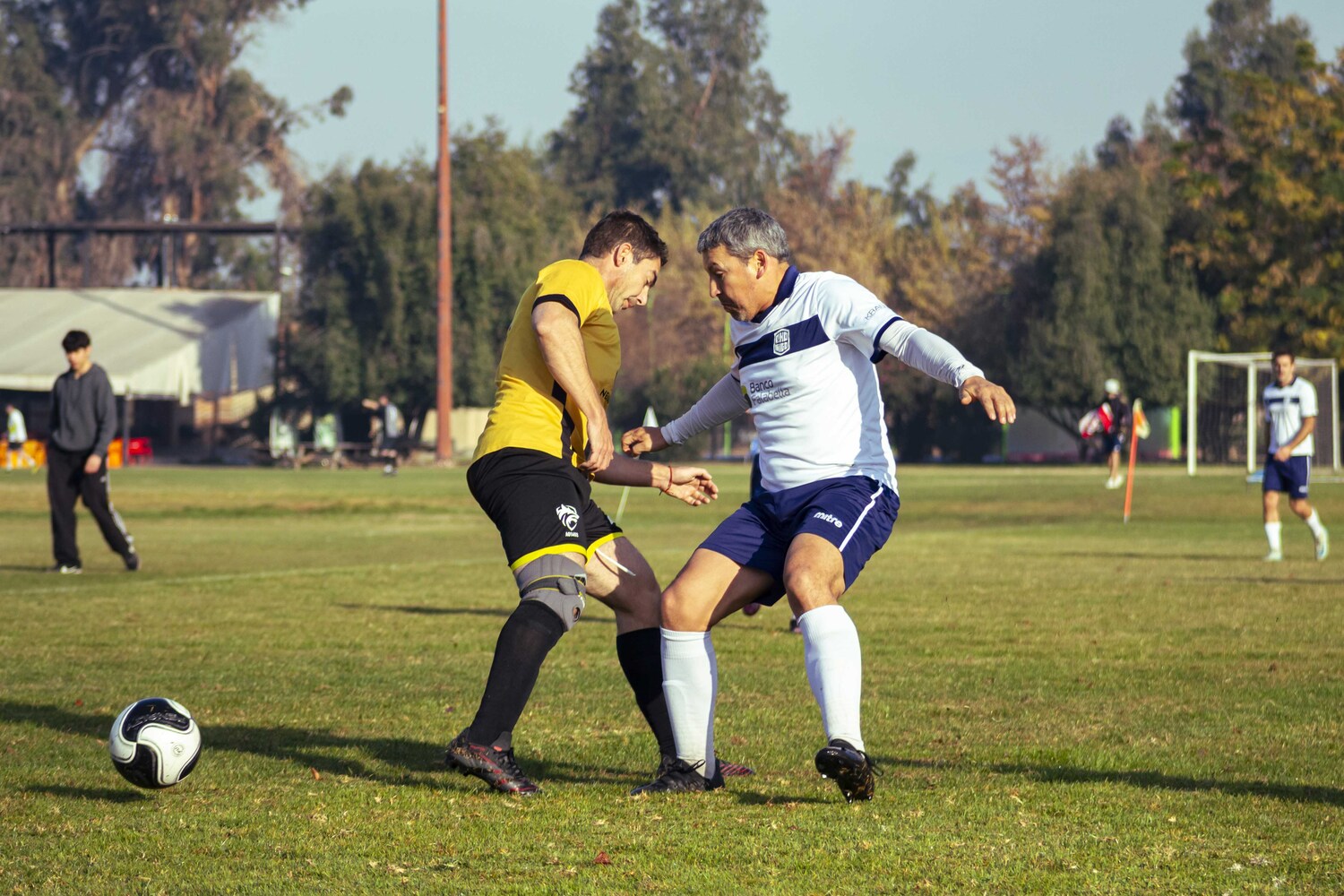 _MG_6965.jpg