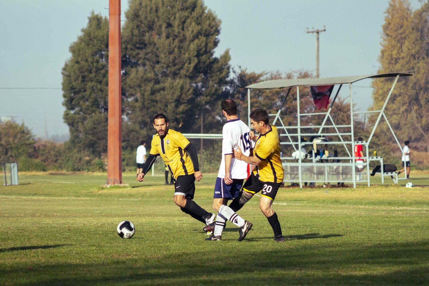 _MG_6986.jpg