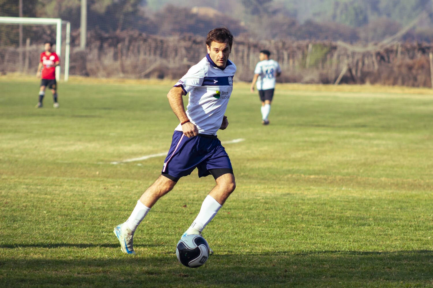 _MG_6991.jpg