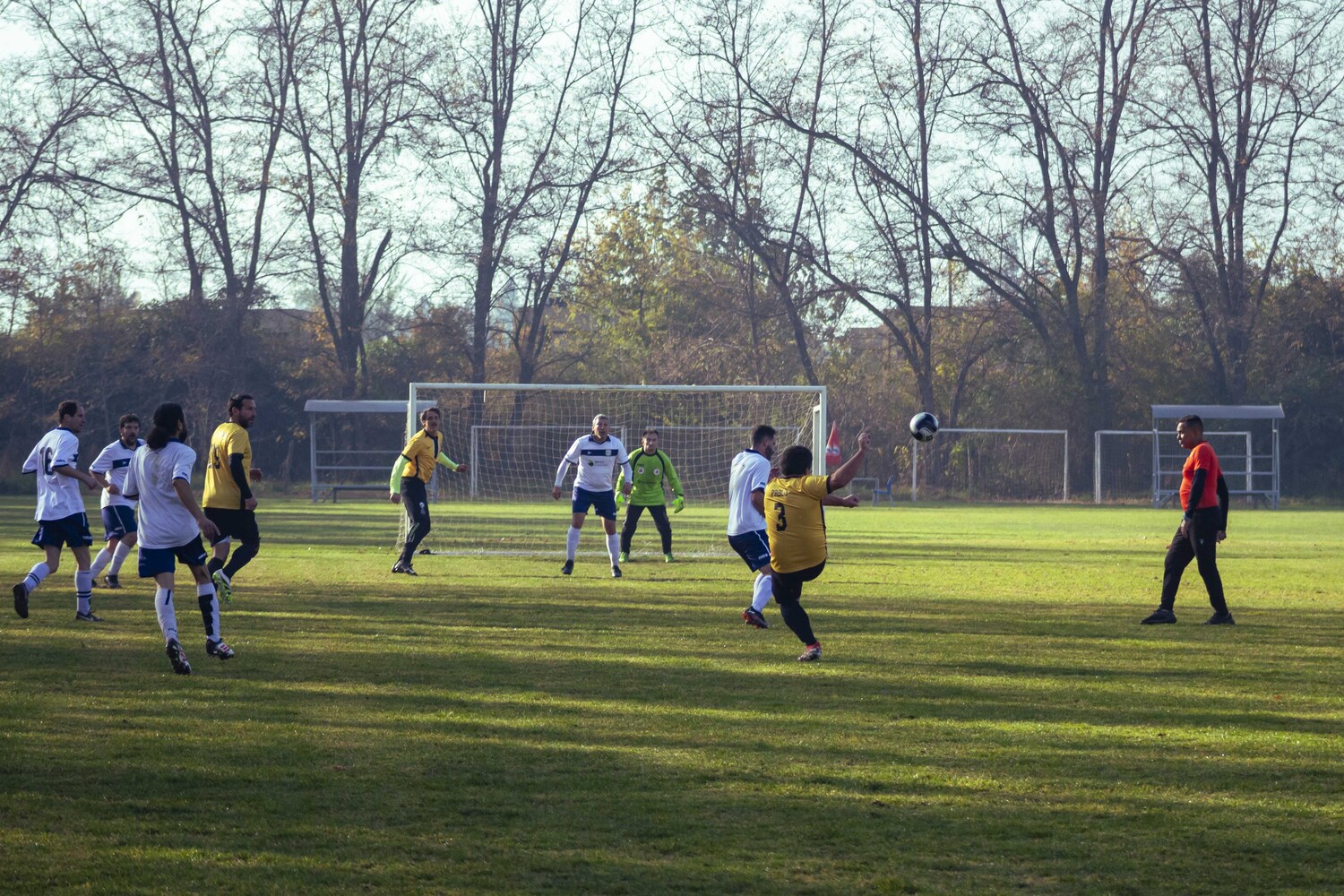 _MG_6993.jpg