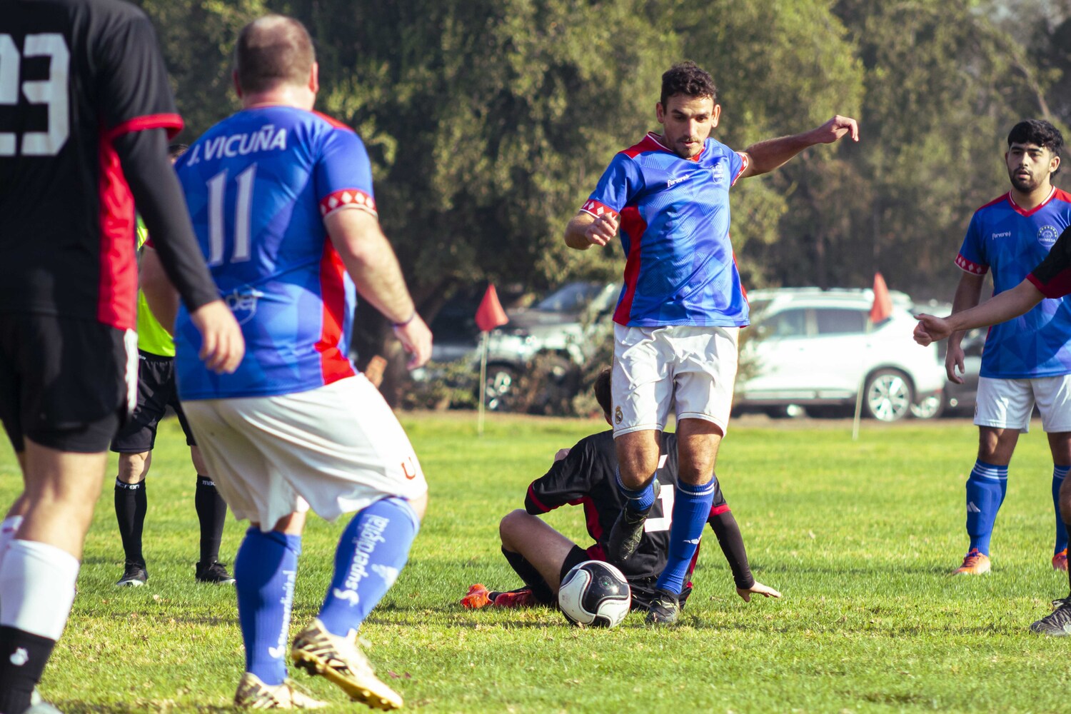 _MG_7011.jpg