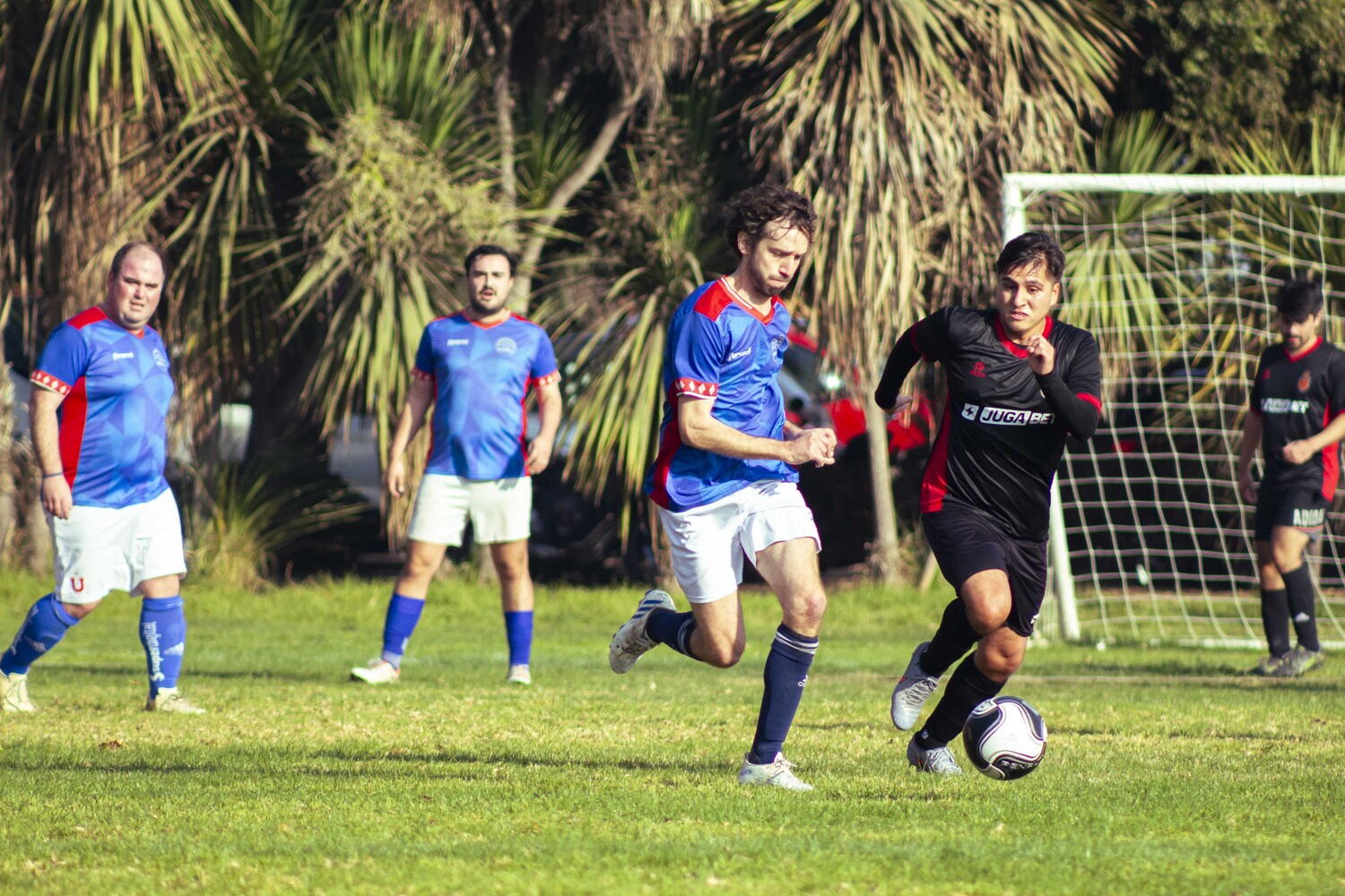 _MG_7016.jpg
