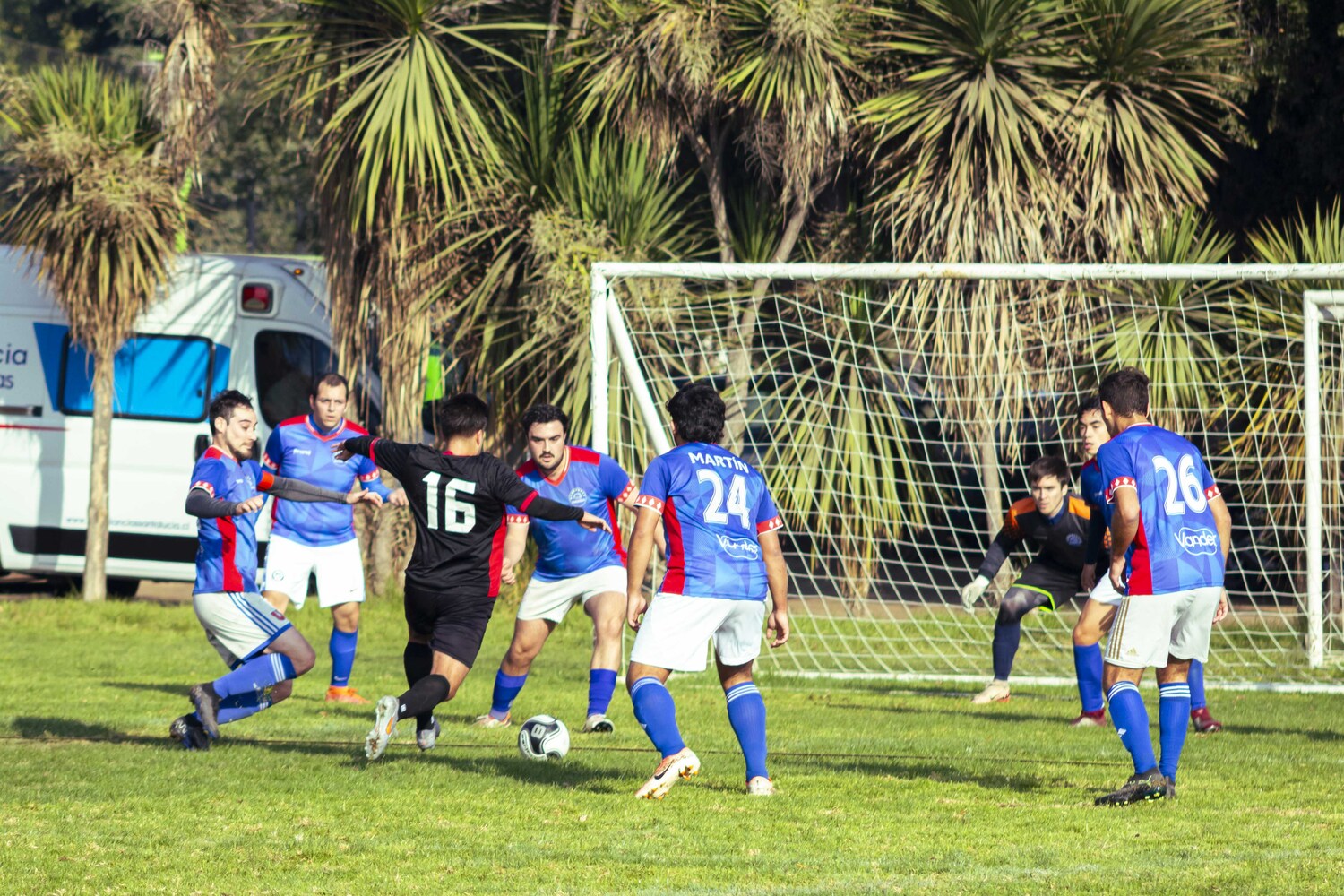 _MG_7023.jpg