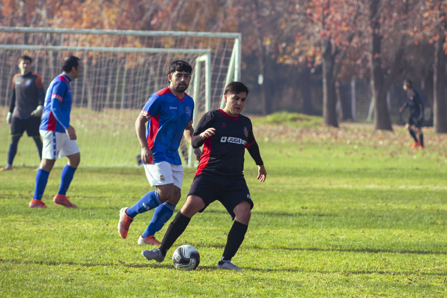 _MG_7037.jpg