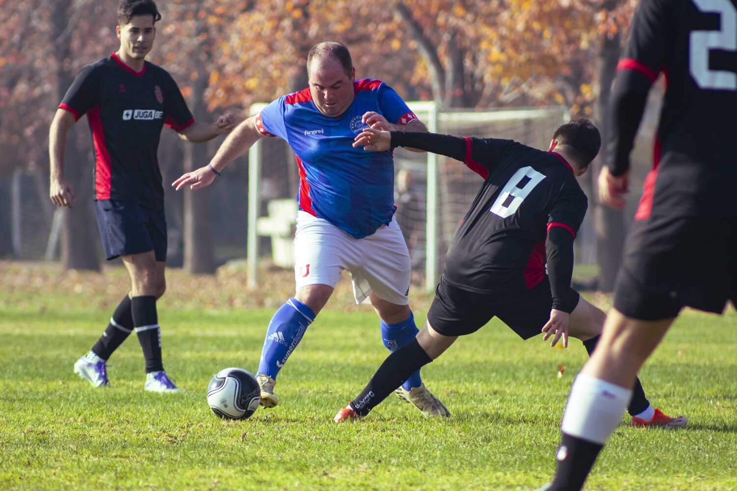 _MG_7041.jpg