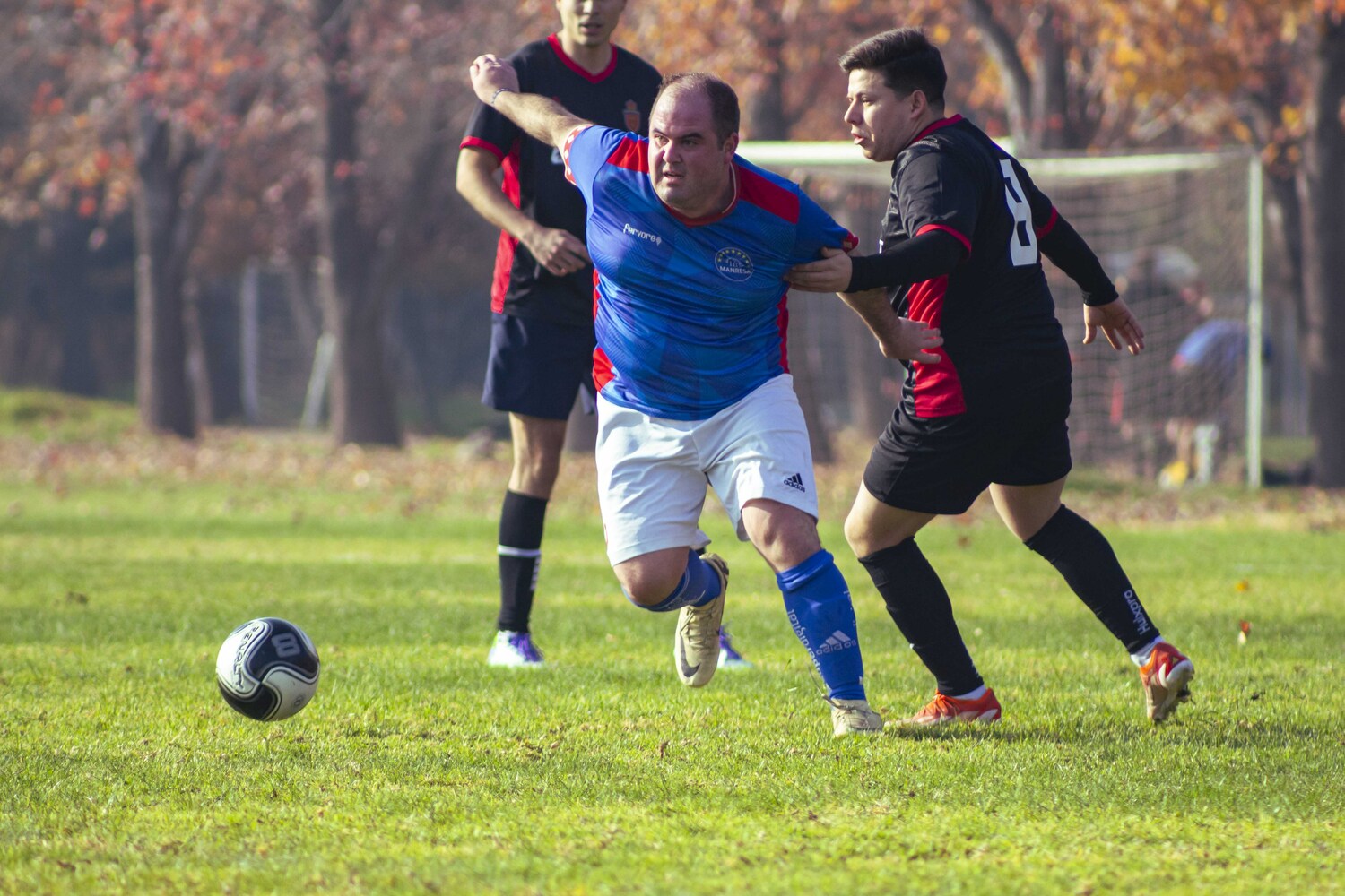 _MG_7042.jpg