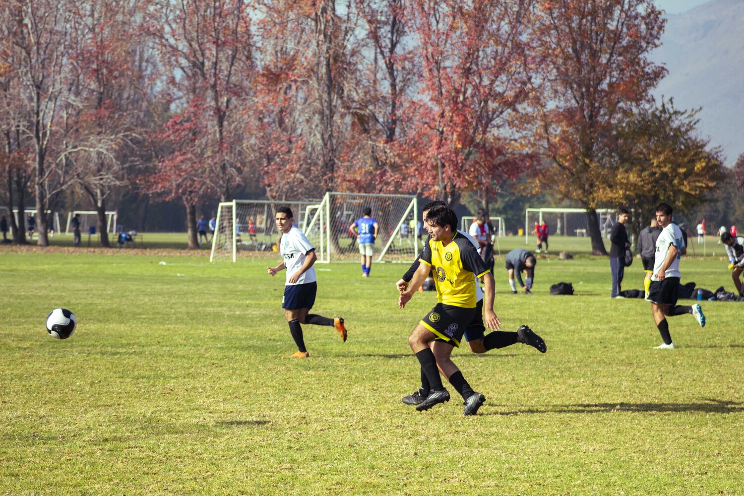 _MG_7080.jpg