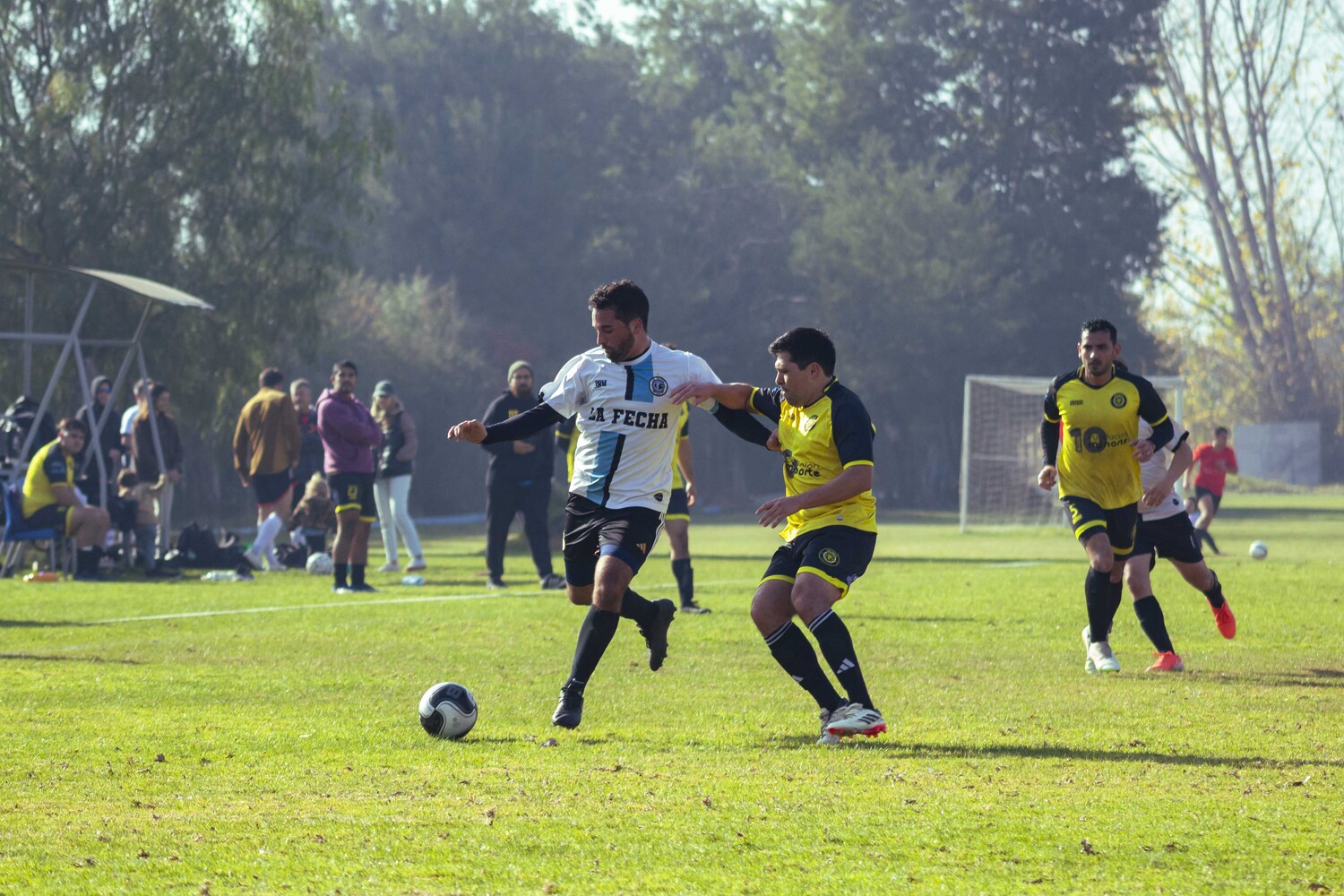 _MG_7095.jpg