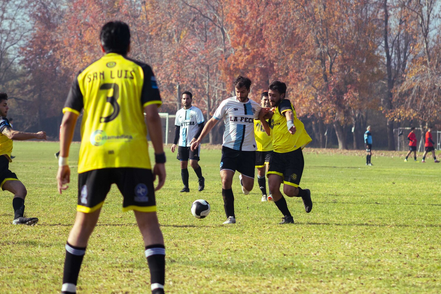 _MG_7100.jpg