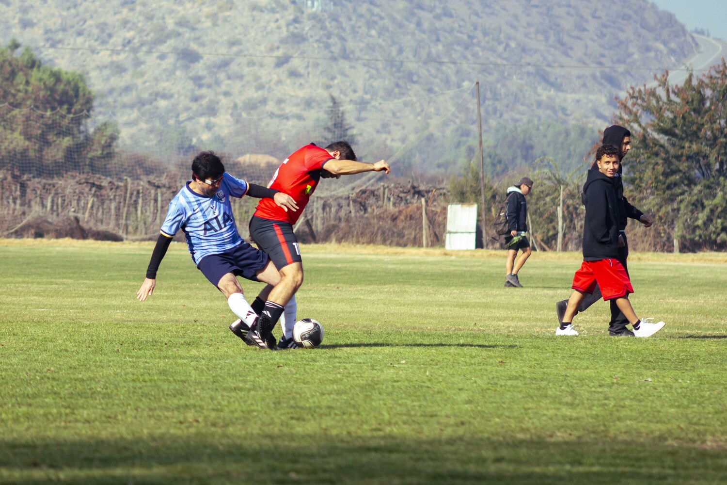 _MG_7121.jpg