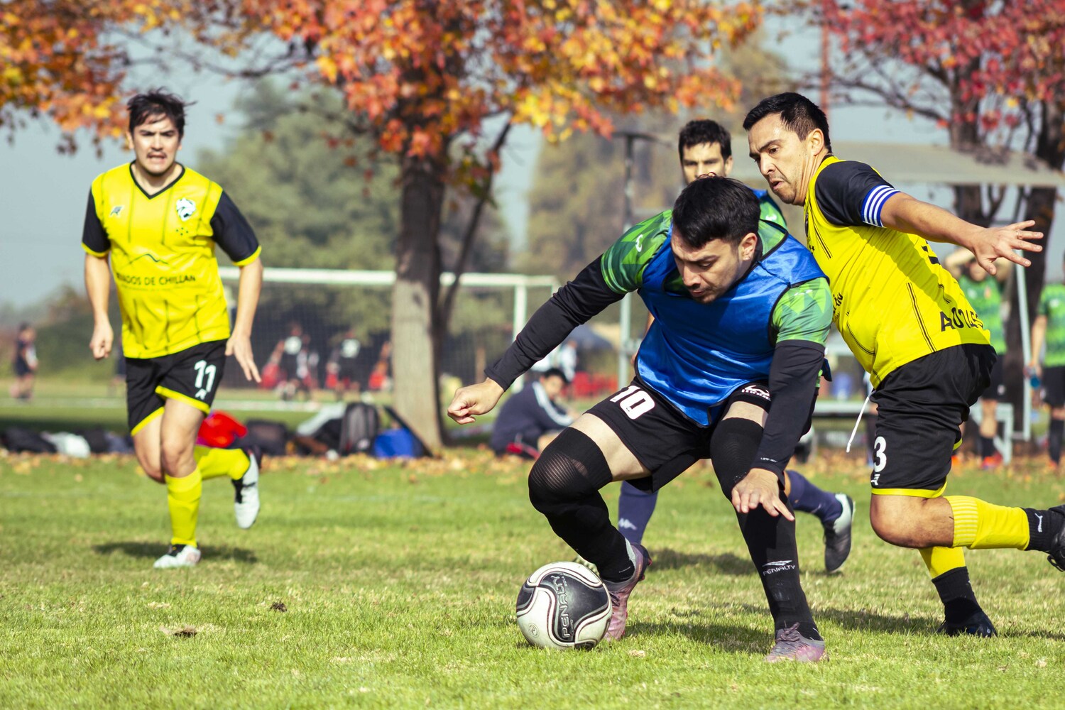 _MG_7144.jpg