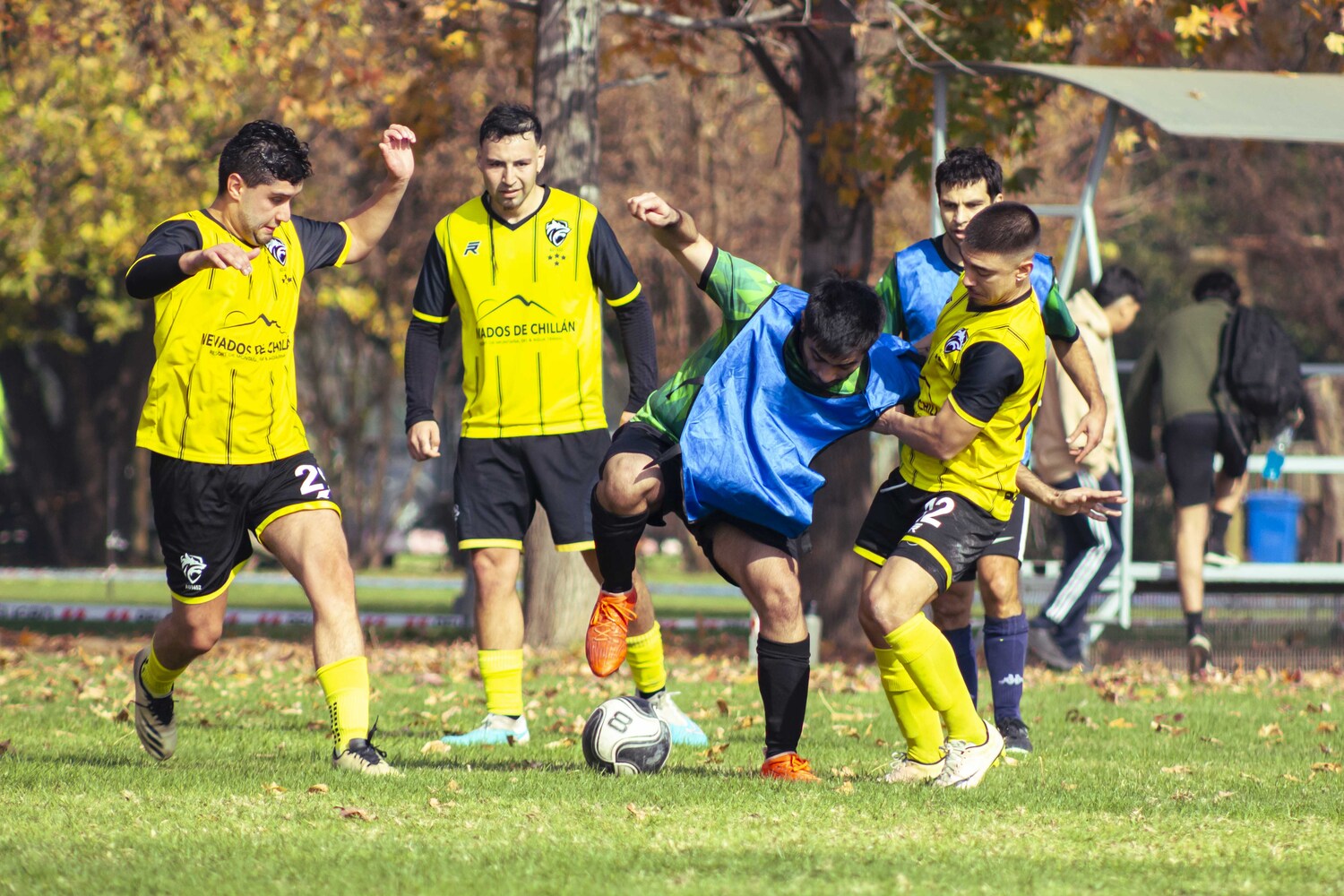 _MG_7150.jpg