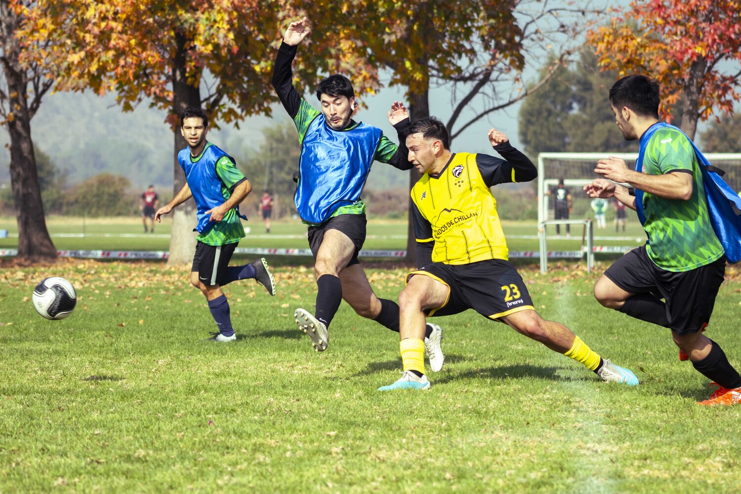 _MG_7155.jpg