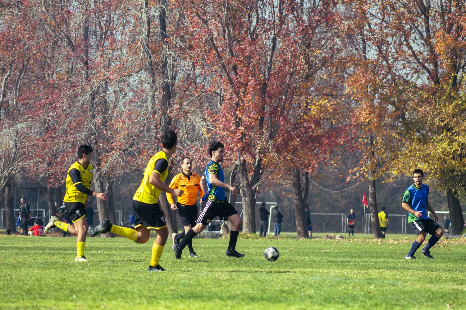 _MG_7169.jpg