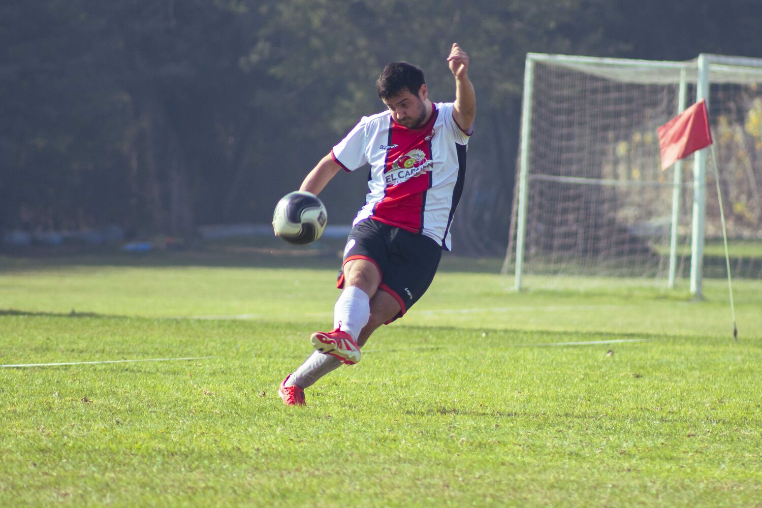 _MG_7176.jpg
