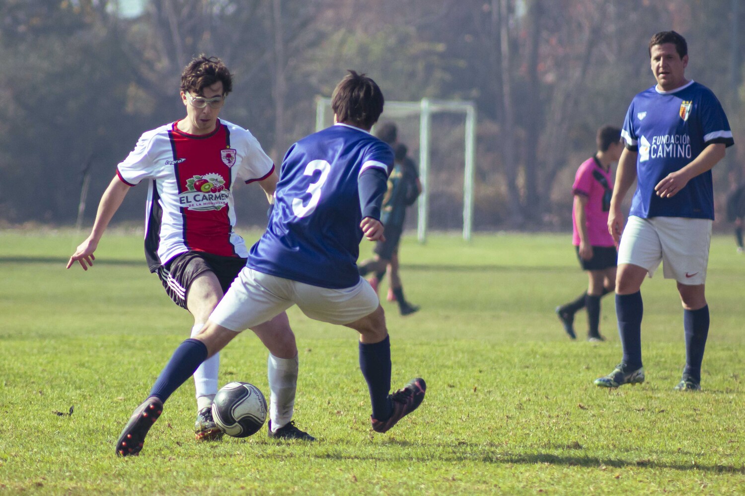 _MG_7178.jpg