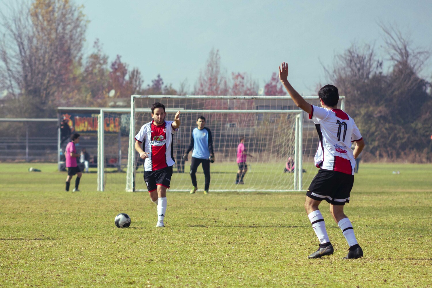 _MG_7183.jpg