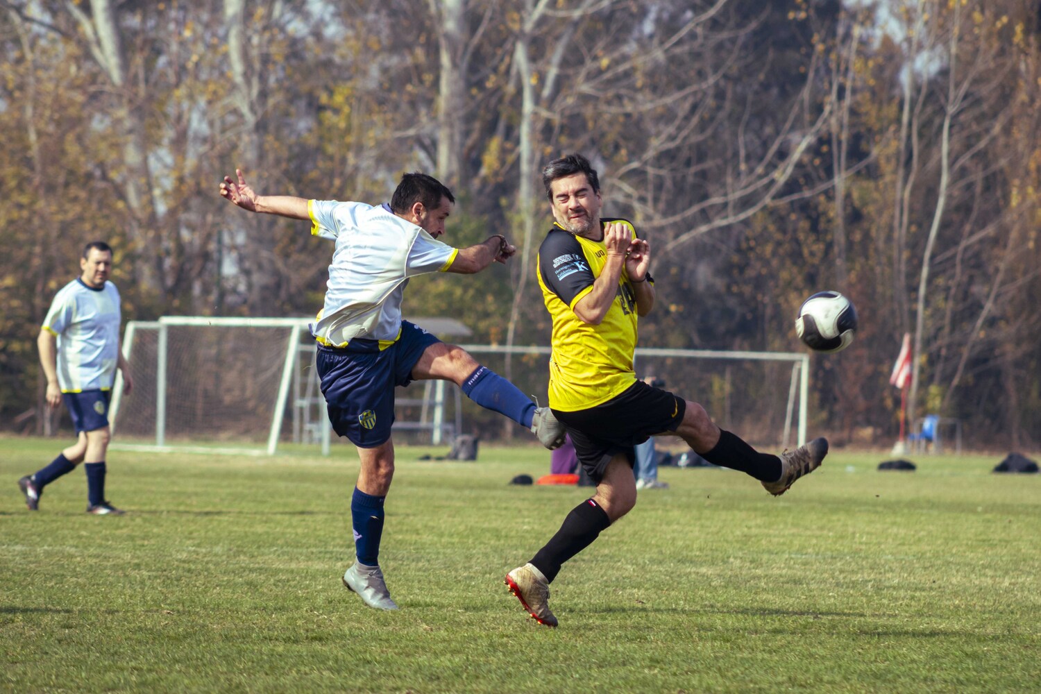 _MG_7233.jpg