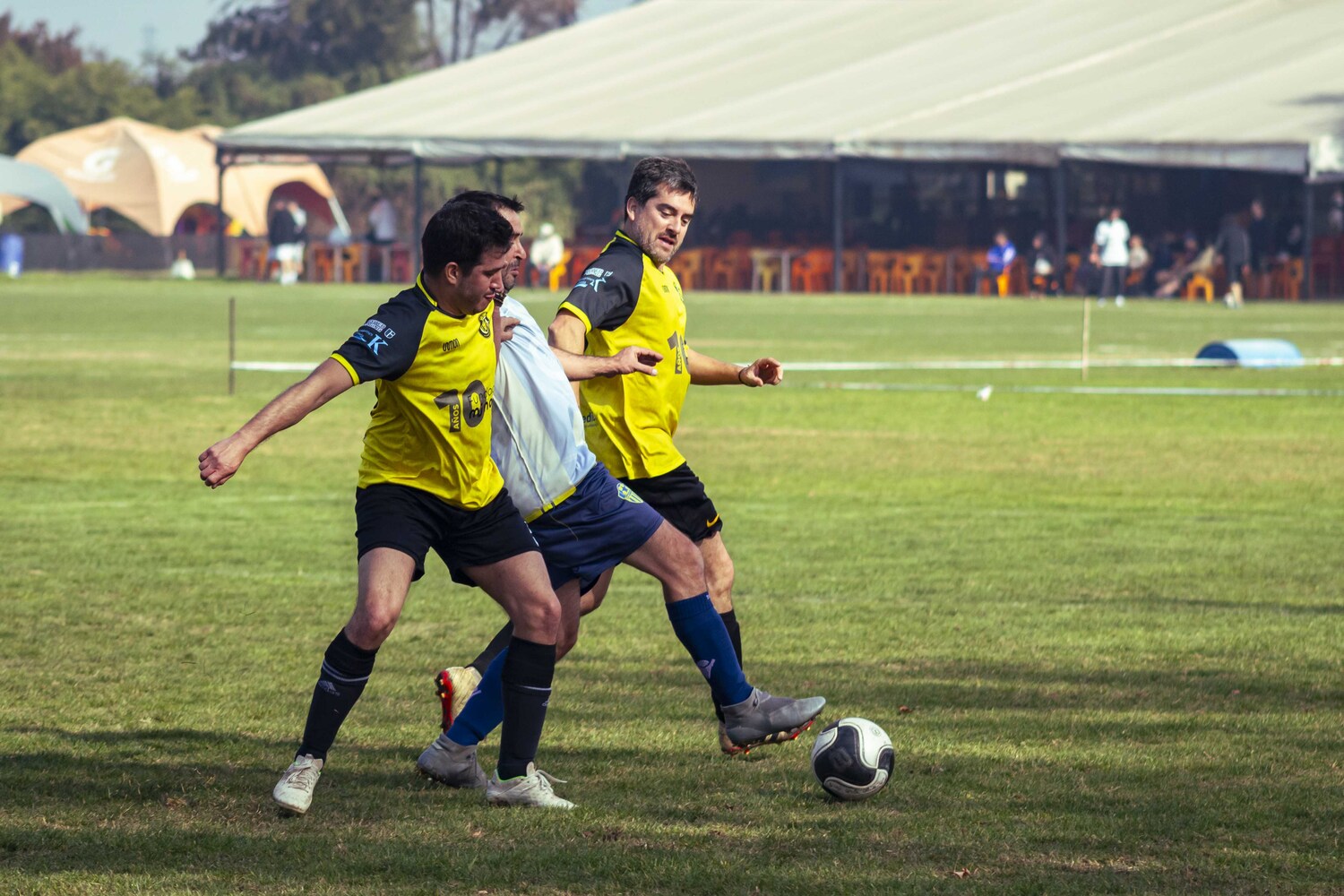 _MG_7238.jpg