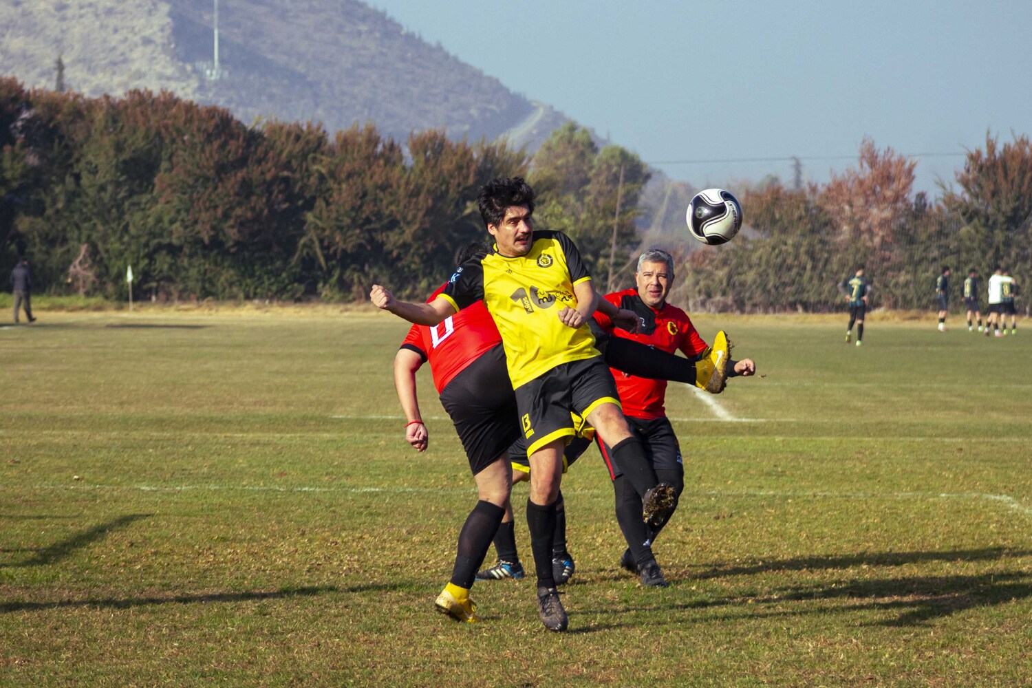 _MG_7716.jpg