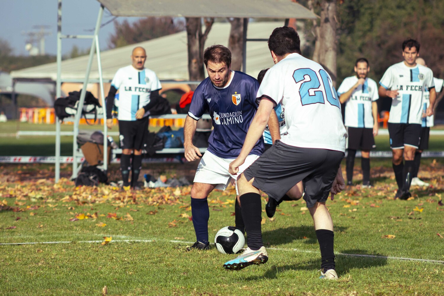 _MG_7728.jpg