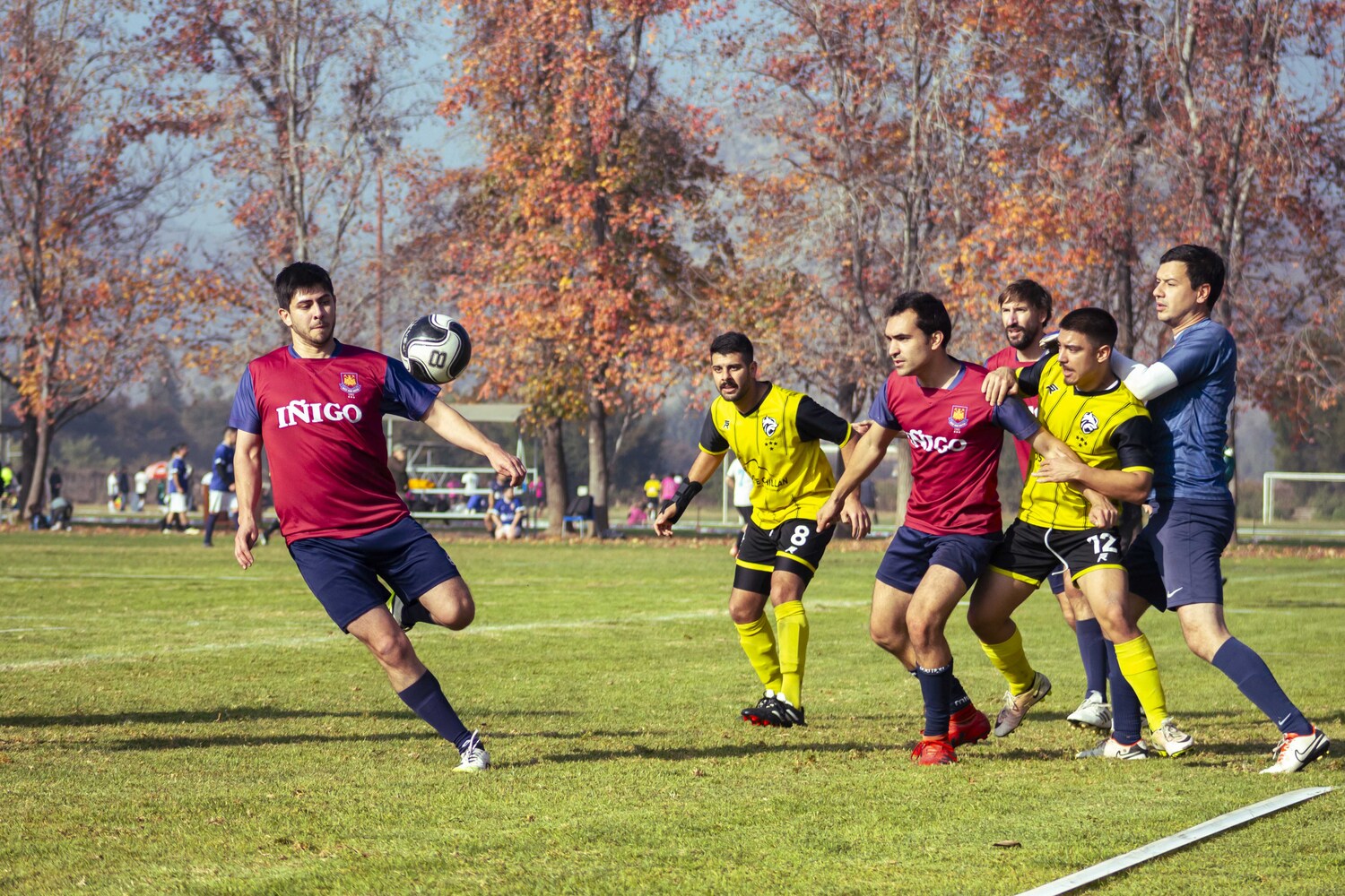 _MG_7774.jpg