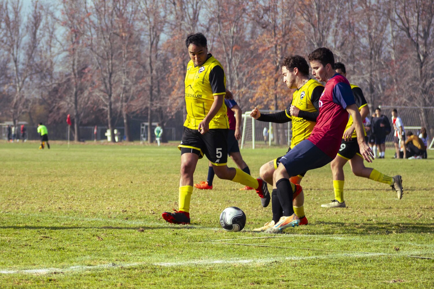 _MG_7776.jpg