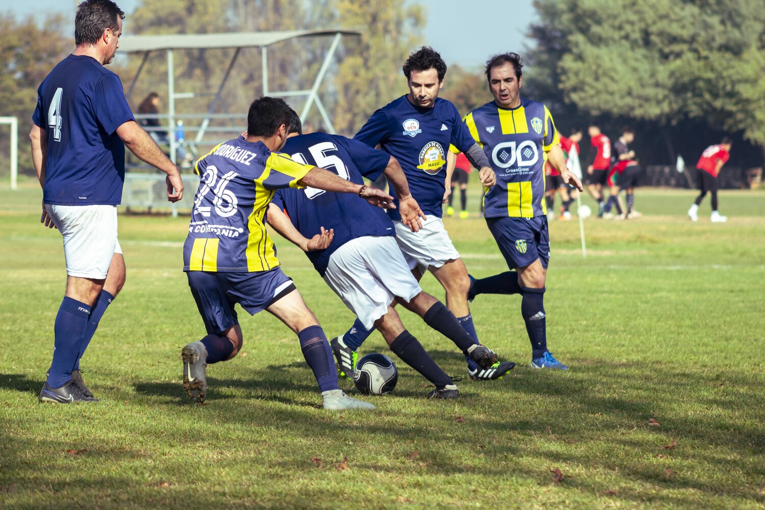_MG_7833.jpg