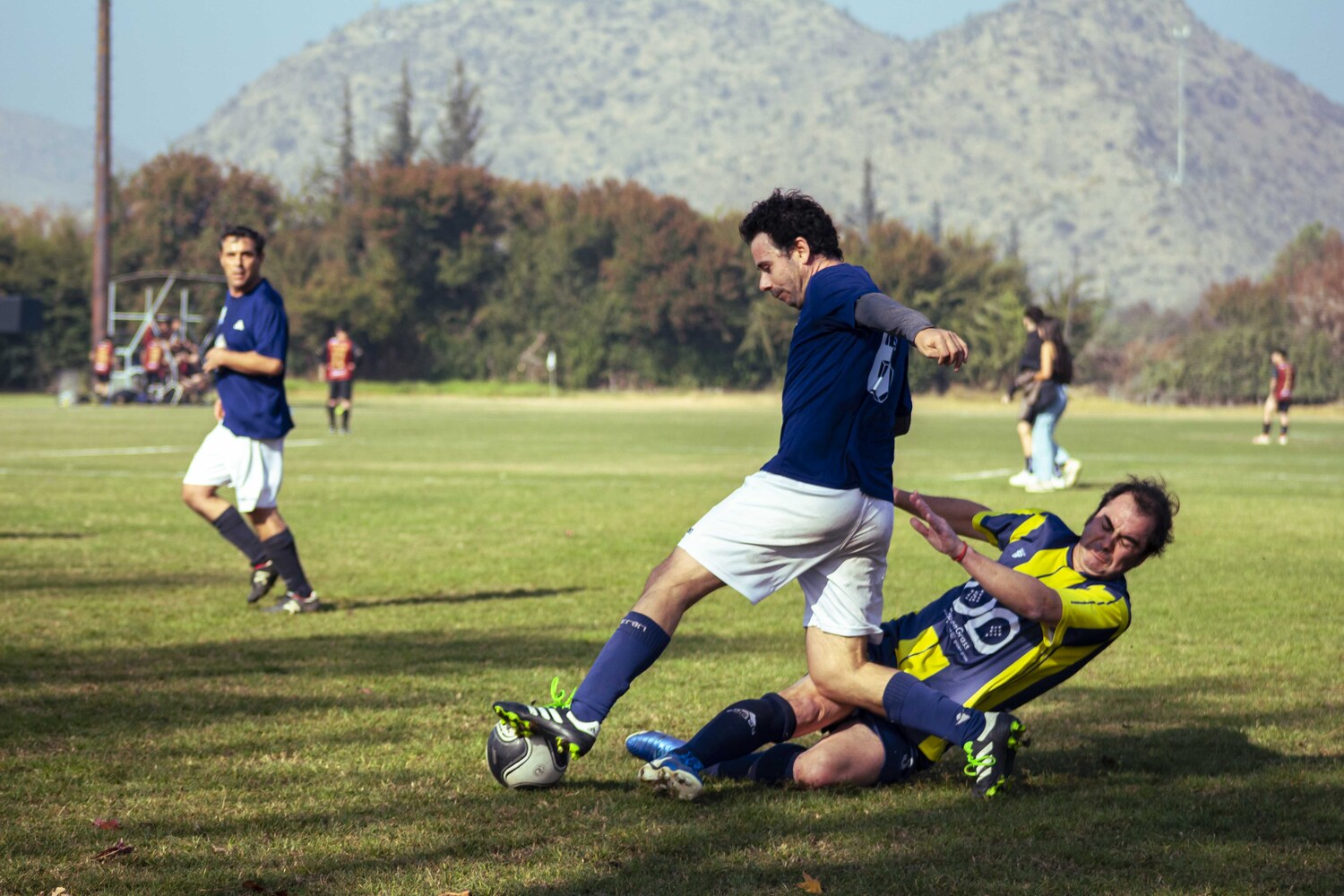 _MG_7836.jpg