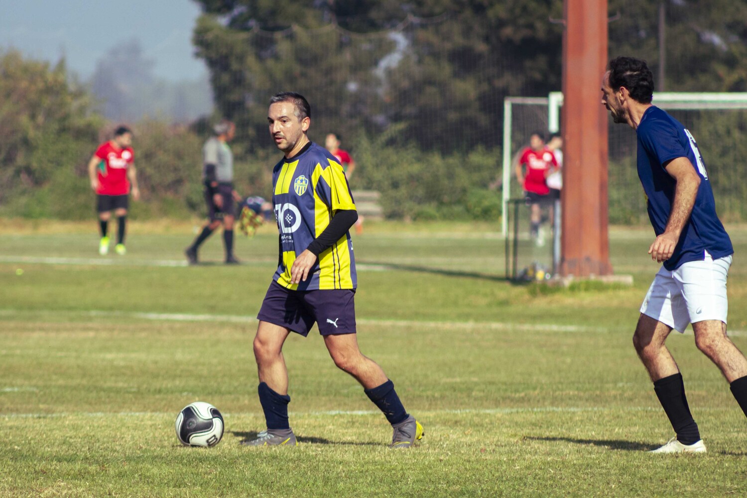 _MG_7847.jpg