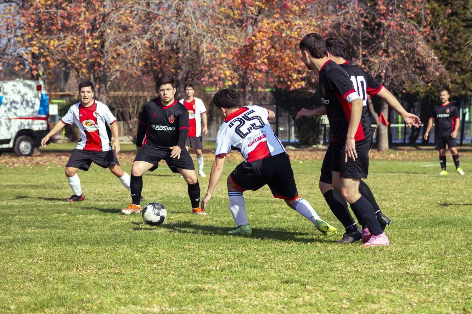 _MG_7901.jpg