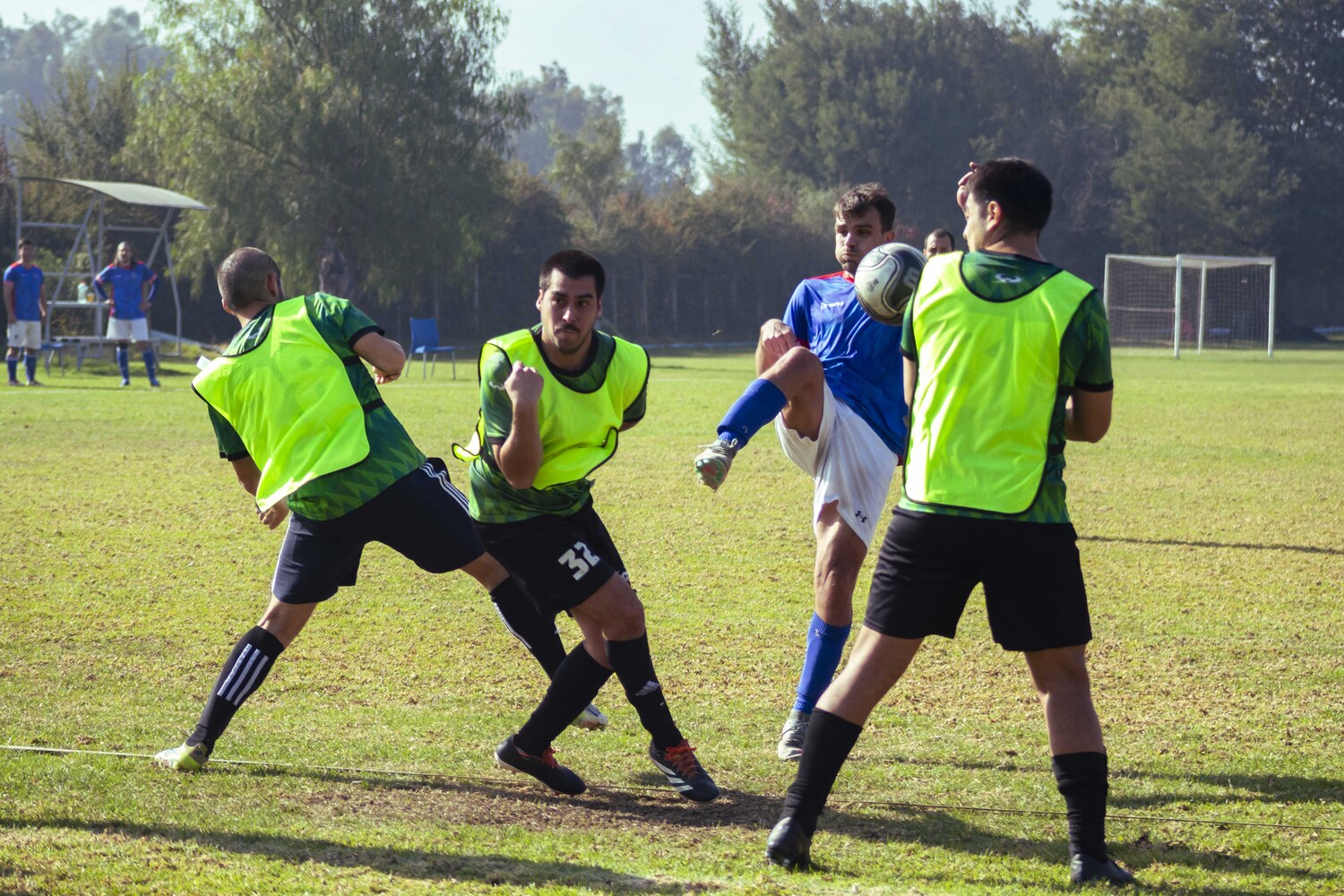 _MG_7917.jpg